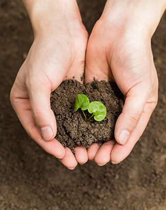 �β۳�����ϴ�C